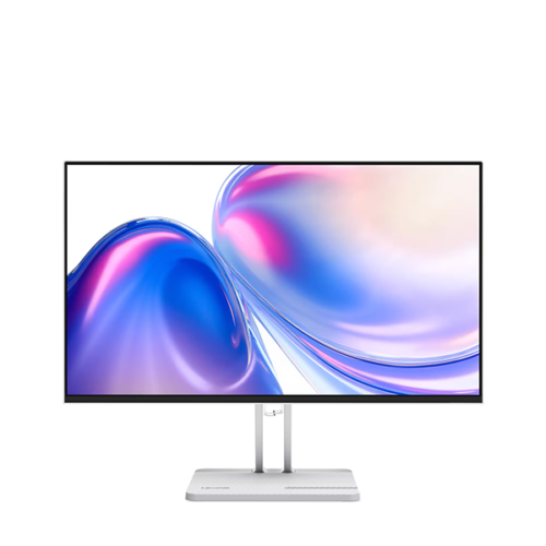 Lenovo L24-4C Monitor